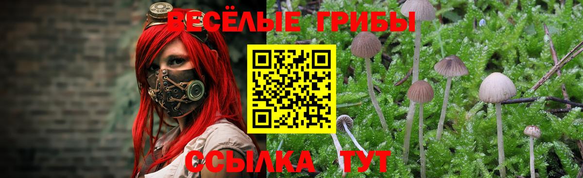 Валуйки  Псилоцибиновые грибы Magic Shrooms  Вход с VPN 
