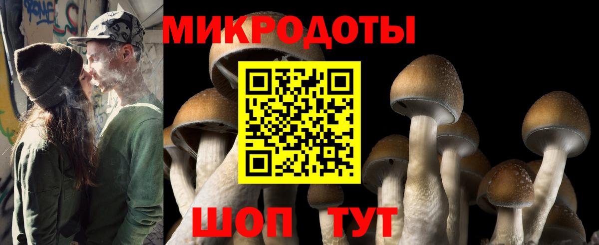 Псилоцибиновые грибы Psilocybine cubensis Валуйки
